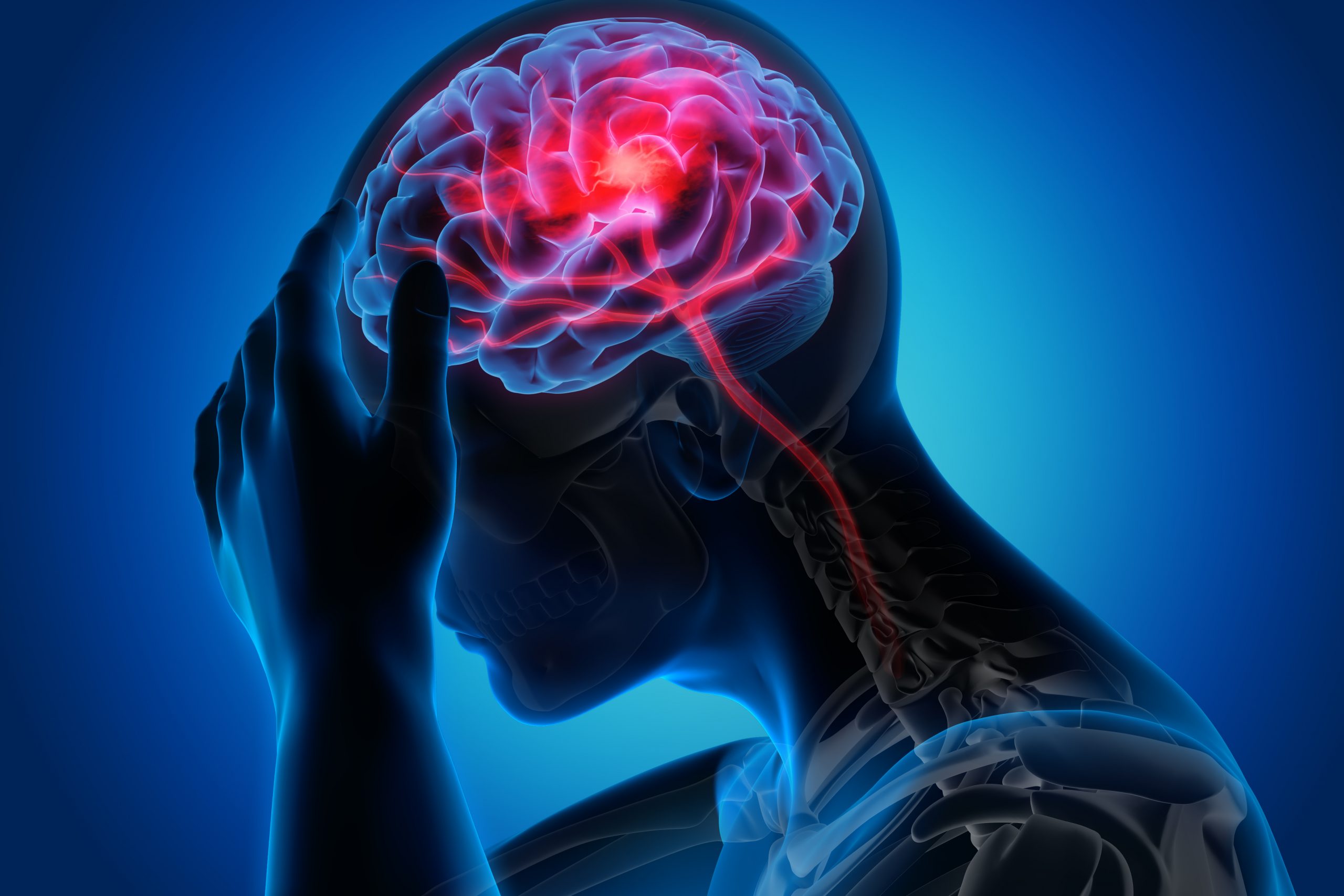 Illustration of a person in profile with brain visible. Red line tracks from the base of the next up into the brain, where it expands into many branches in a firework pattern.