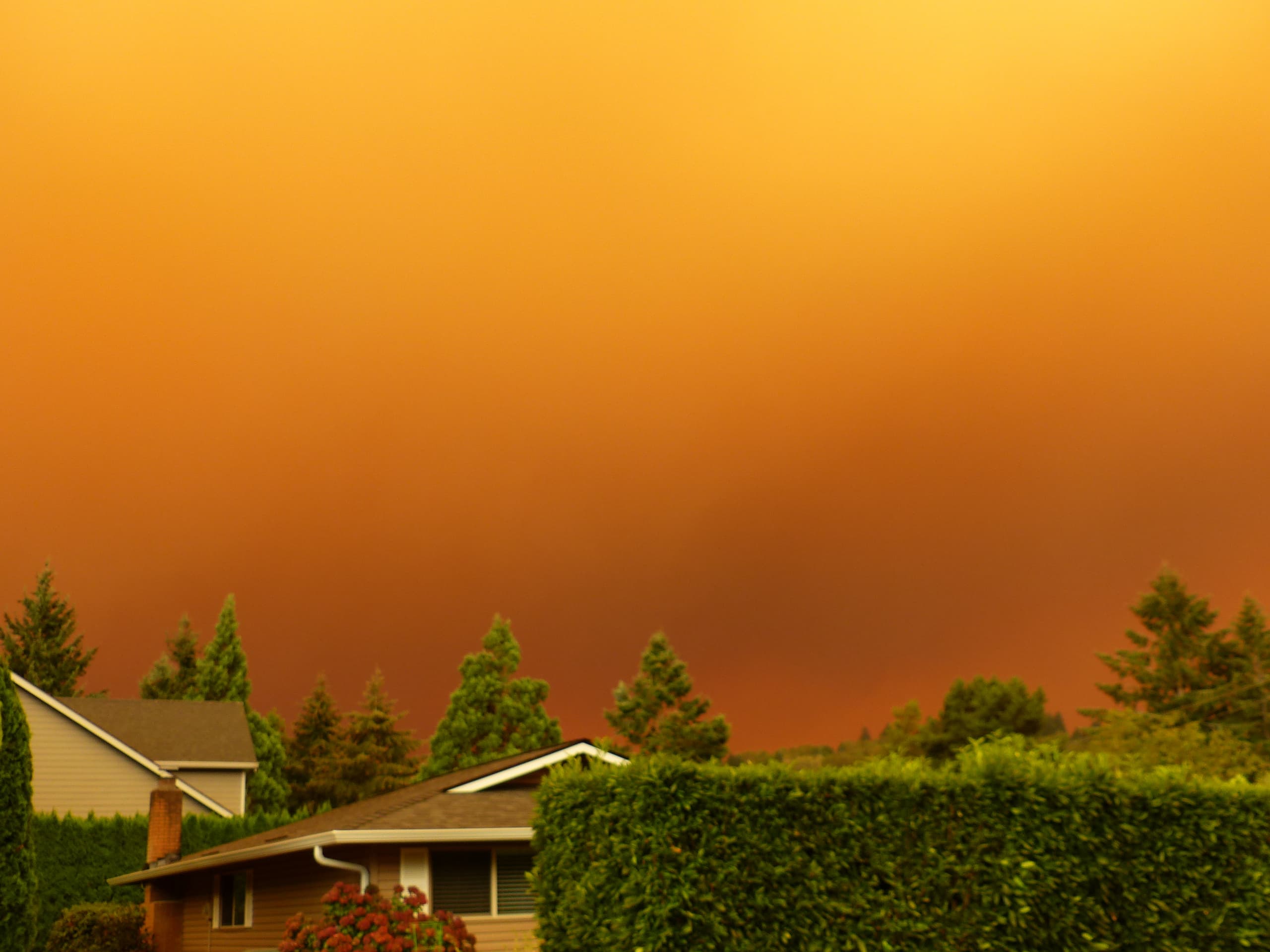 Looming red sky above the suburbs