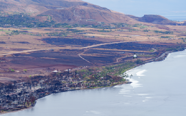 Bird's view of burned forest on the shore